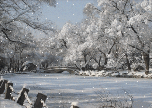 下雪了 雪落轻盈 弹指风华 碾碎成香 墨染心境 雪落鸣诗 传递如水的