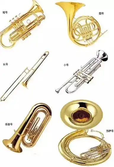 三,铜管乐器组
