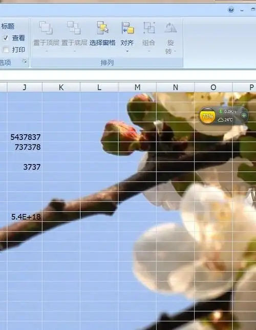 如何设置excel图片背景垫在数字下面,不影响使用.