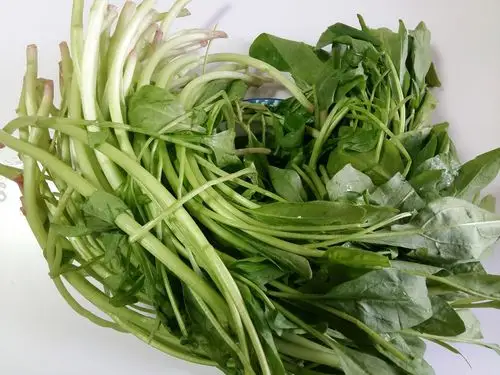 4块钱1捆的这菜,孩子吃长个快视力好,女人吃光彩照人