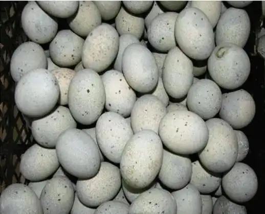 皮蛋瘦肉粥——安全皮蛋您吃对了吗?