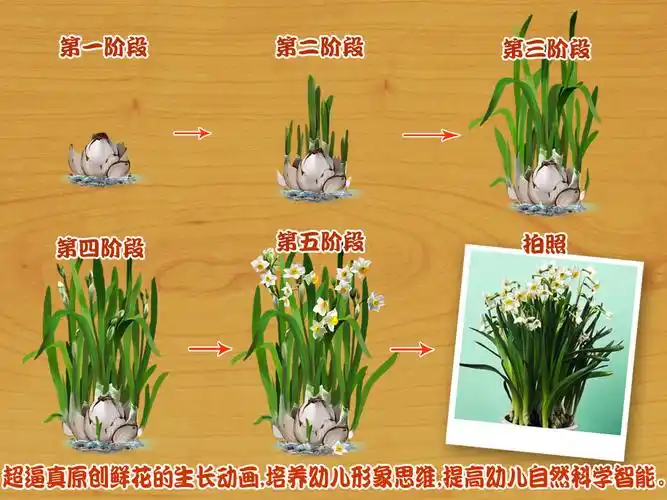 p>宝宝种鲜花:(英文名:baby plants flowers),是傲贝早教全球独家重