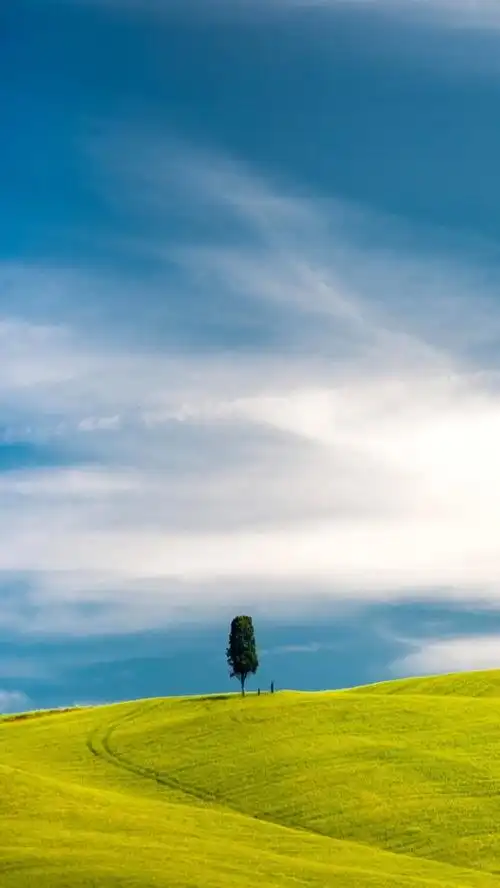 780_1386竖版 竖屏