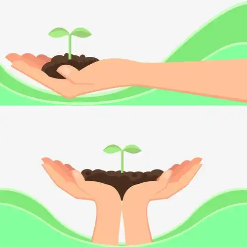 矢量手捧树苗