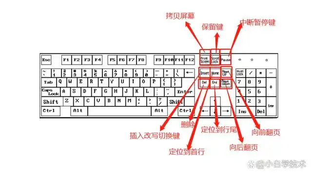 深入了解电脑键盘,让新手小白进阶路上有如神助