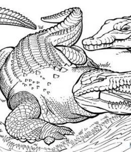 张大嘴的恐怖鳄鱼涂色填色图片大全