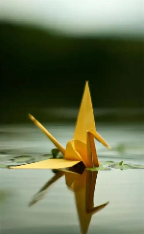 保护眼睛的桌面壁纸,绿色桌面背景图护眼(高清养眼绝美手机壁纸102张)