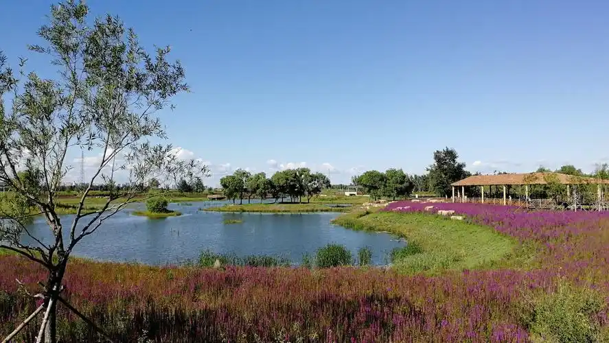 哈尔滨群力外滩湿地公园