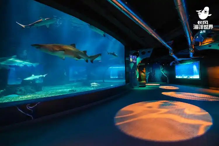 上海长风海洋世界