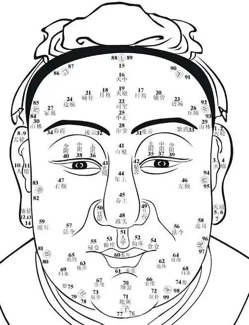 面相-面相分析-怎么看面相-面相算命图解-安测网
