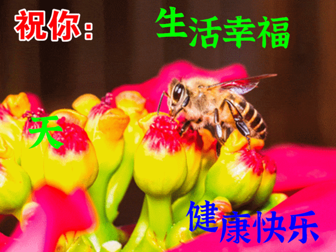 需要改变的的,不是身边的环境,只是我们的心态,带着美好的心情,去发现