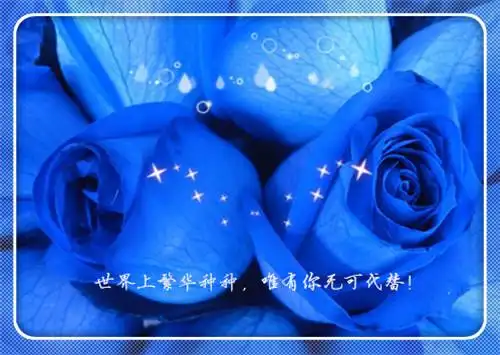 蓝色妖姬唯美带字图片_妖艳迷人的蓝玫瑰