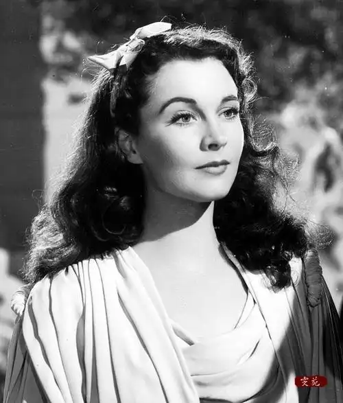 费雯贴图〗 - 【雯苑】费雯丽中文论坛 - powered by discuz!