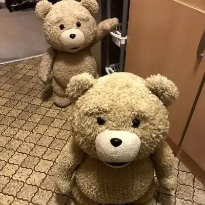 ins小熊头像图片高清很火的小熊头像图片