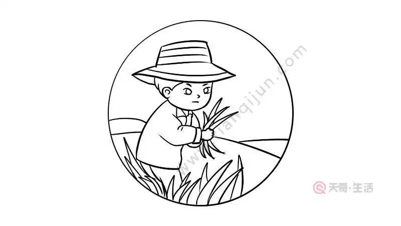 芒种生活的动物简笔画