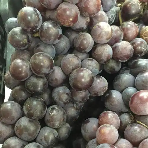 冰糖葡萄6.5元/元