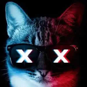 超燃猫咪头像图片