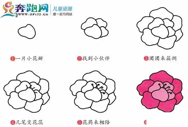 简笔画牡丹花怎么画图片