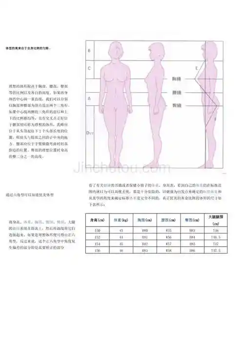 女性标准身材比例对照表