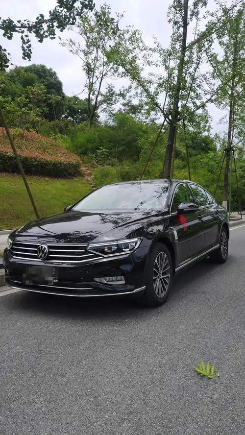 2021款迈腾330豪华版定妆照