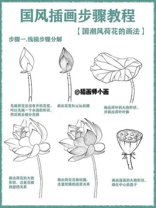 来看看国潮荷花的绘画步骤吧,从单个元素开始教你画线稿不会画的宝子