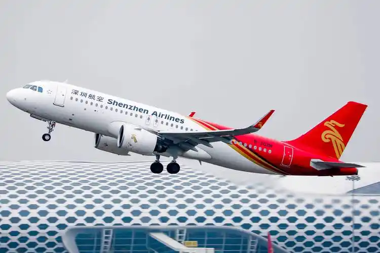 3月26日起,深航在深圳加密多条国内国际航线_服务_航空_旅客