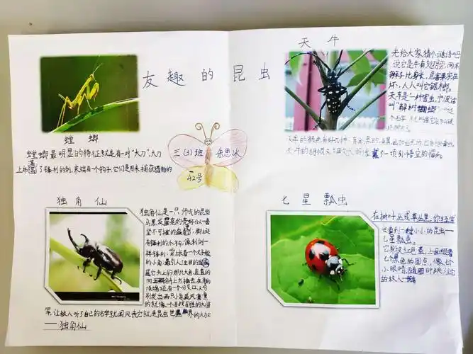 三3班《我的昆虫备忘录》