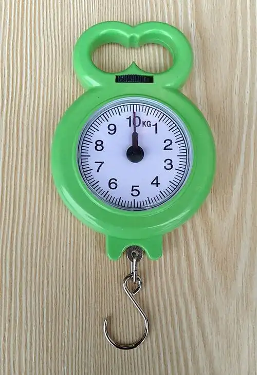 弹簧秤家用便携式多功能10kg手提秤买菜秤口袋秤迷你快递秤10公斤