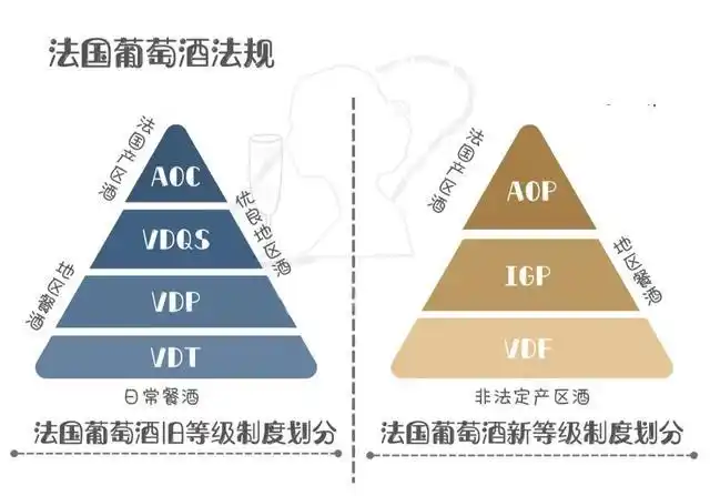葡萄酒知识|法国葡萄酒 新旧等级划分制度,你知道多少?