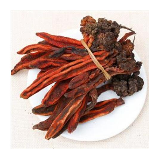 中药材 文王一支笔 别称:红冬蛇菰 不老根 借母怀胎 500克 统