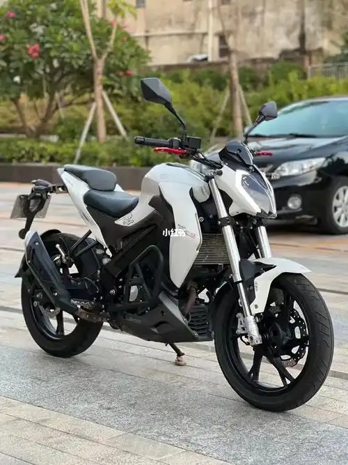 2019年贝纳利小迅龙150s