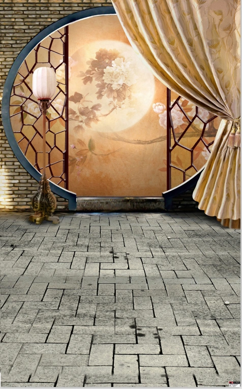 盘子女人坊影楼摄影背景布婚纱主题拍摄背景纸儿童拍照古装背景