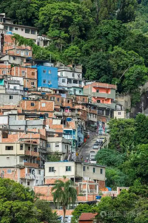 贫民窟在巴西里约热内卢的大西洋雨林丘陵扩张
