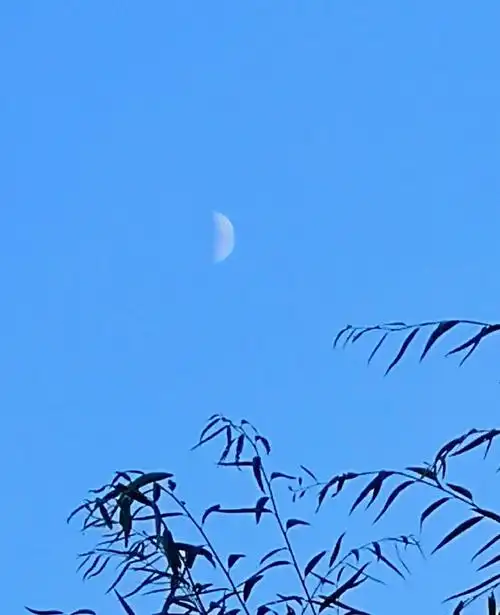 九月的第一弯月