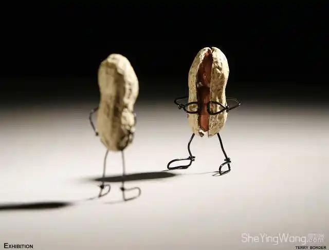 40幅日常事物的秘密生活创意摄影