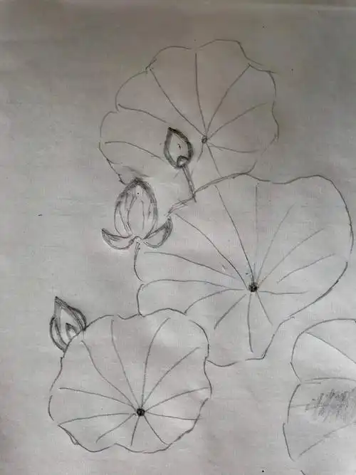 荷花宫样美人妆,荷叶临风翠作裳.昨夜夜凉凉似水,羡渠宛在水中央.