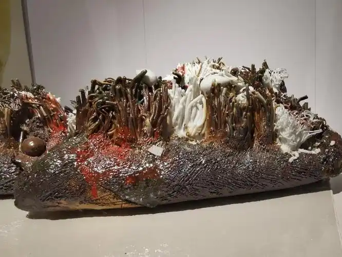 侘寂至境黑子柴烧艺术作品展于澳门开幕