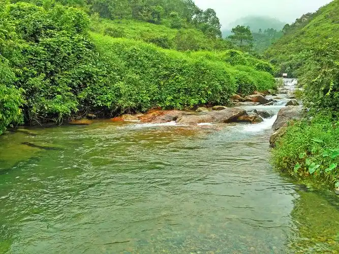 广东佛山旁的原始森林边有两条清澈的小溪是踏青和玩水的好地方