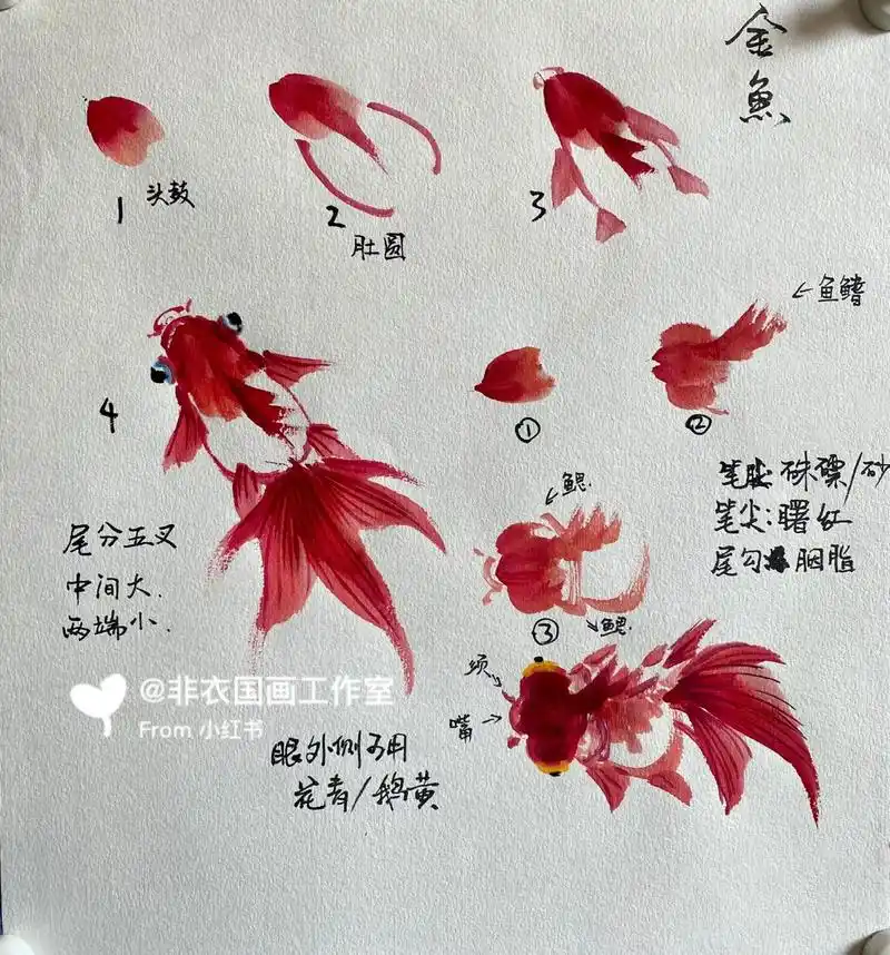 《从零开始》国画写意基础篇(金鱼) 题字《金玉满堂》国画教程 少儿