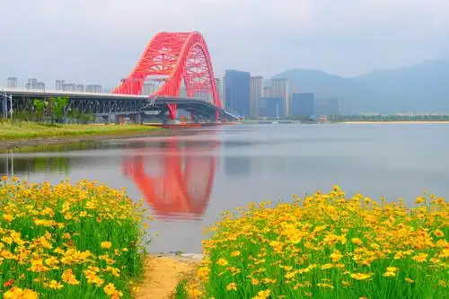 同学共游梅山红桥花海