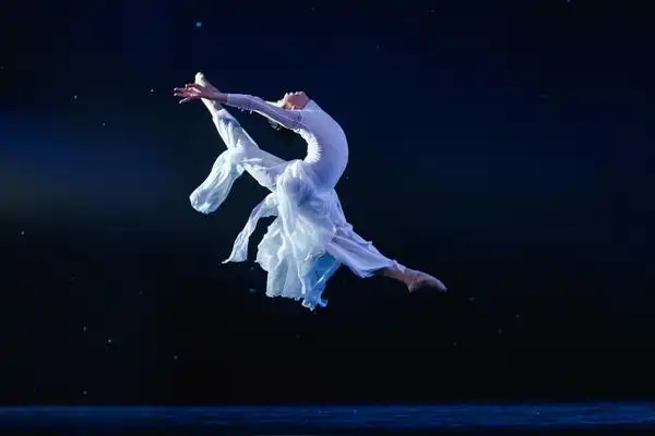 庆祝改革开放40周年新时代福建省优秀舞蹈作品展演