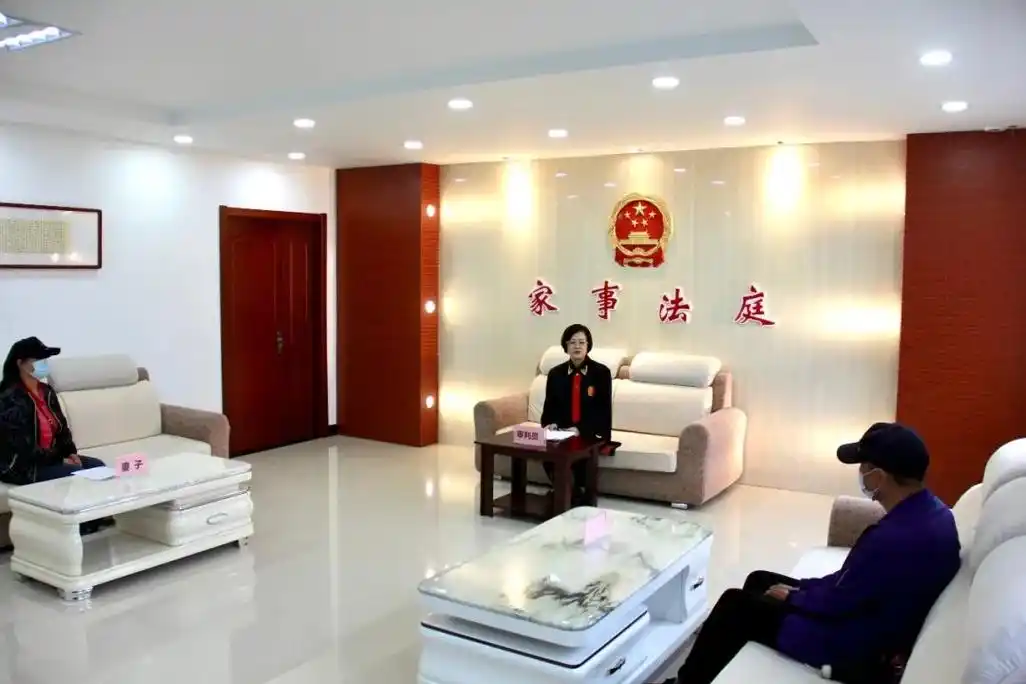 梅里斯法院民事法官理家事家事法庭促调解