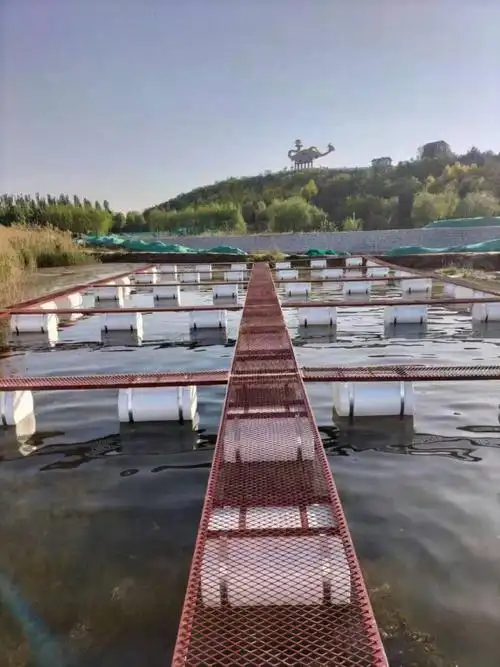 养鱼网箱价格及图片水库网箱深水网箱网箱养殖桂花鱼