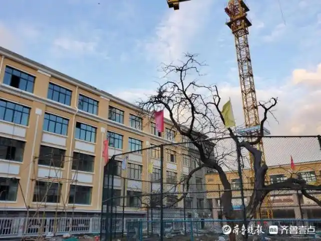 改扩建后的青岛三中全面升级,明年9月启用