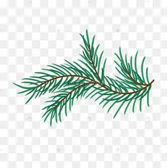 松针插画图片_松针插画设计图片素材大全-千库网