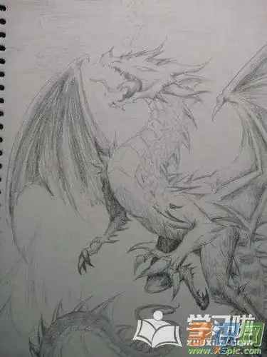 龙的素描简单画法图片