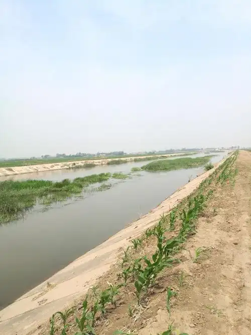 吉林省四平市梨树县060乡道靠近新江天气预报