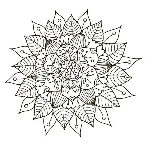 矢量着色的黑白装饰花曼荼罗