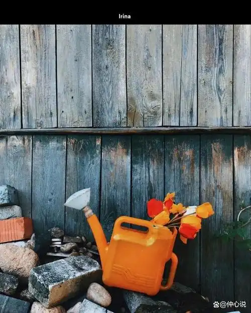 摄影作品分享:生活小场景的创作