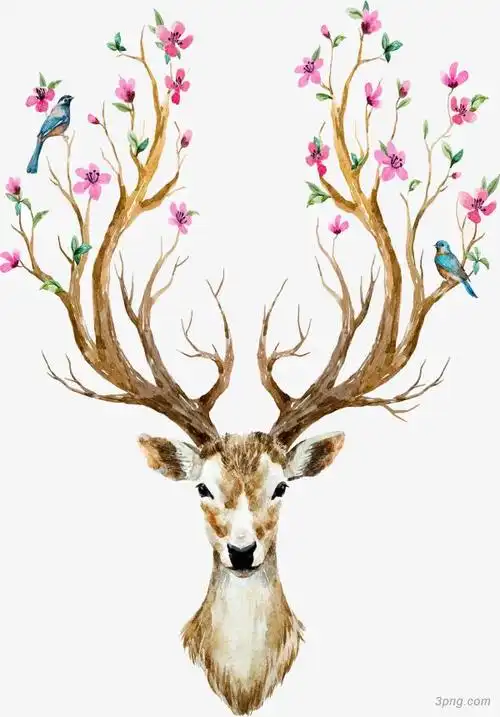 彩色梅花鹿png素材透明免抠图片动植人物